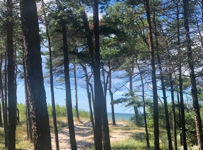 Lägenhet 'audrone' Sveciu Namai *